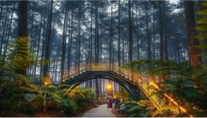 bandung wisata dreampark dago instagramable sinetron
