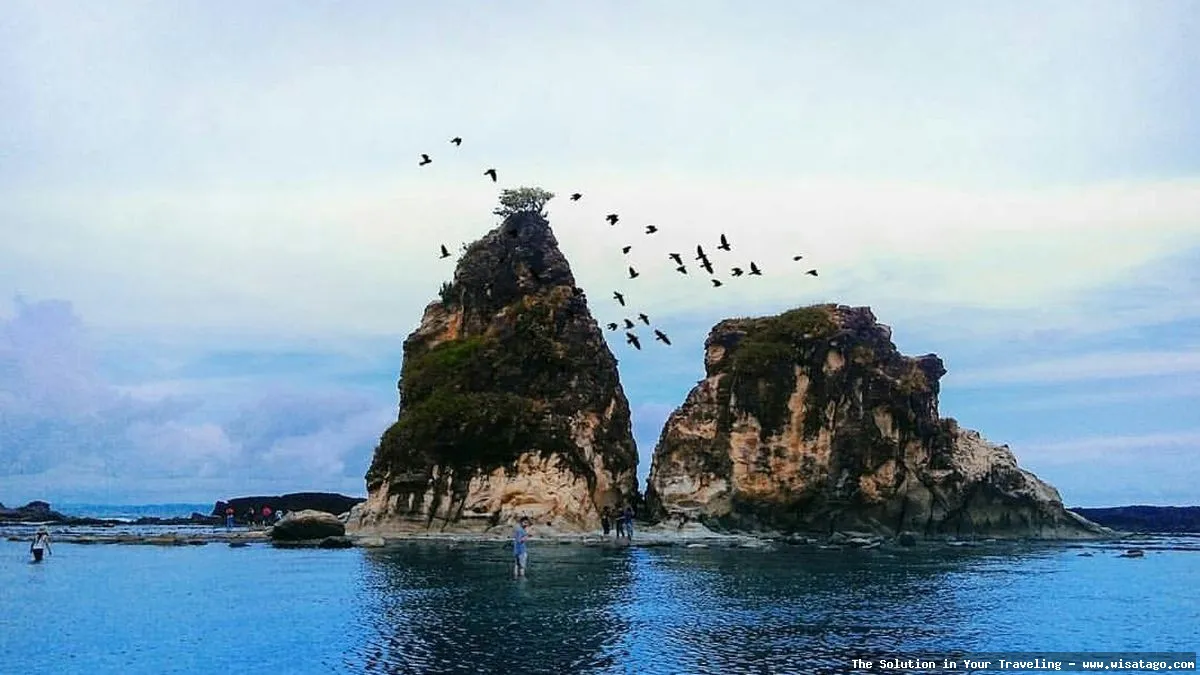 Wisata Pantai Tanjung Baru: Tips, Harga Tiket, Kuliner, Lokasi, Fasilitas dan Spot