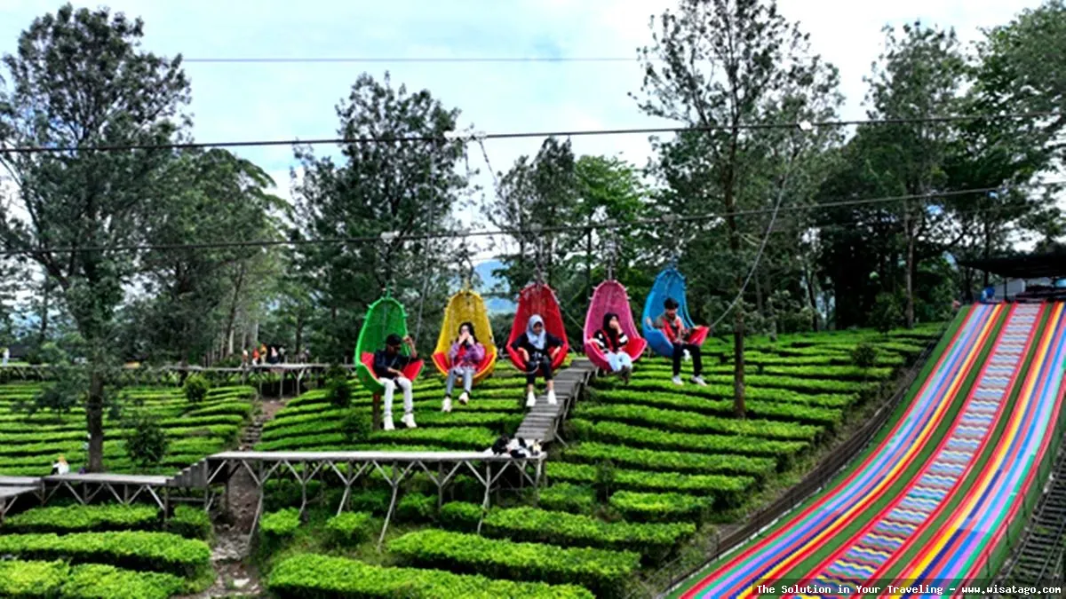 Agro Gunung Mas: Tips, Harga Tiket, Kuliner, Lokasi, Fasilitas dan Spot Agro Gunung Mas: Tips, Harga Tiket, Kuliner, Lokasi, Fasilitas dan Spot