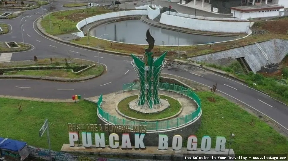 Agro Gunung Mas, perkebunan teh hijau