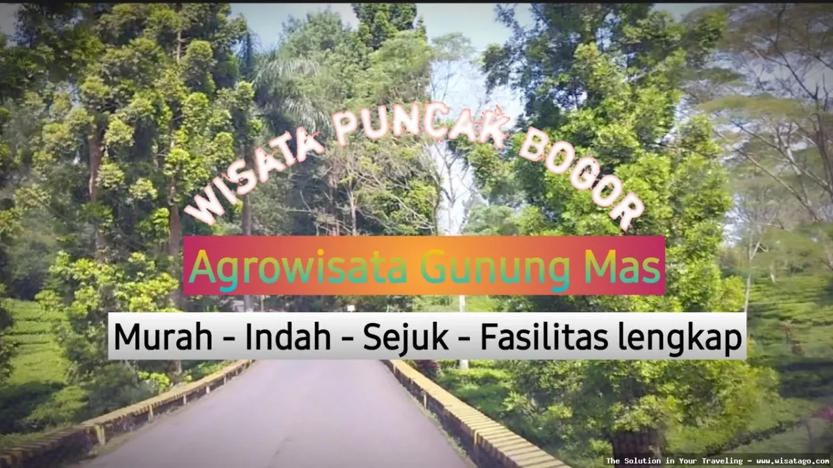 Agro Gunung Mas, kebun teh indah