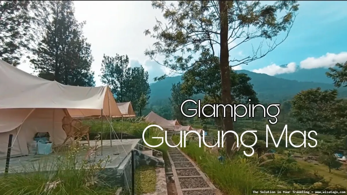Agro Gunung Mas, perkebunan teh hijau