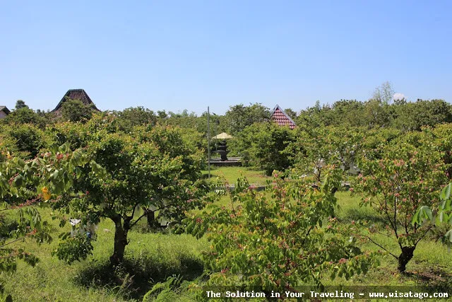Agrowisata Karangsari: kesegaran alam pedesaan