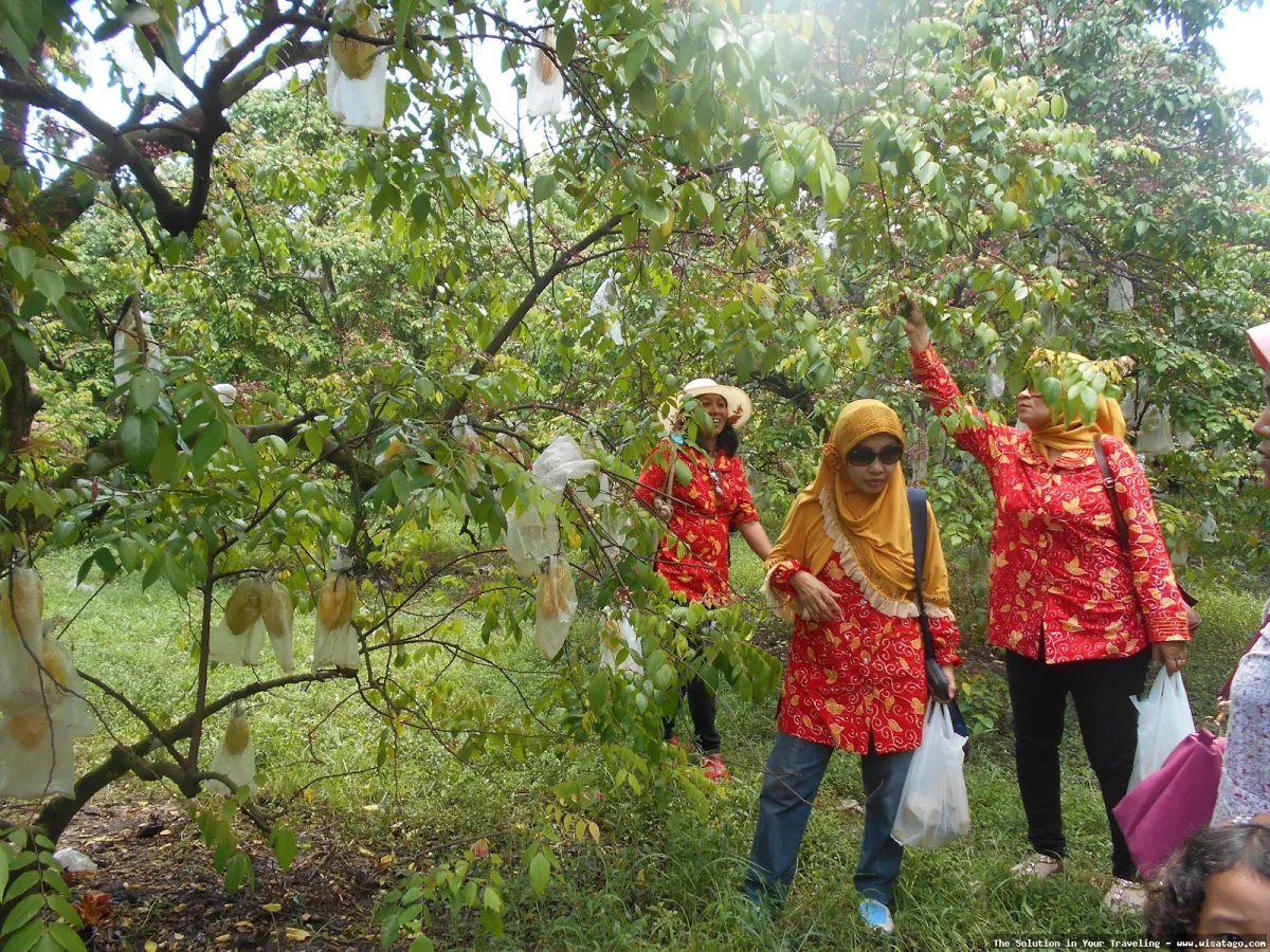Agrowisata Karangsari, keindahan alam memukau