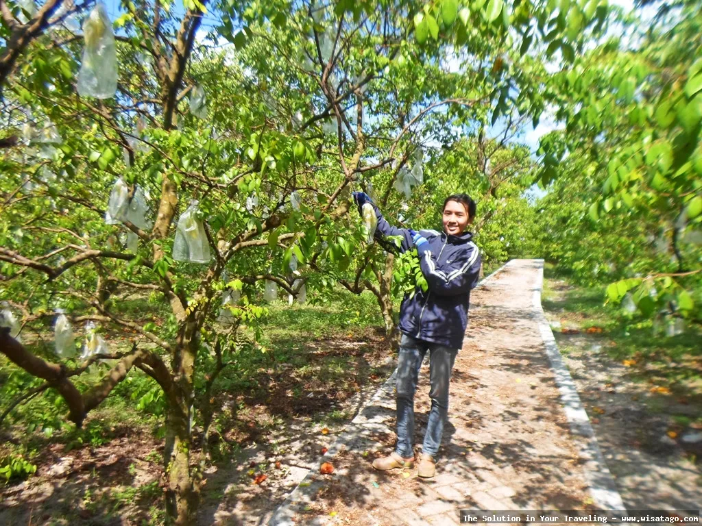 Agrowisata Karangsari, wisata alam edukatif
