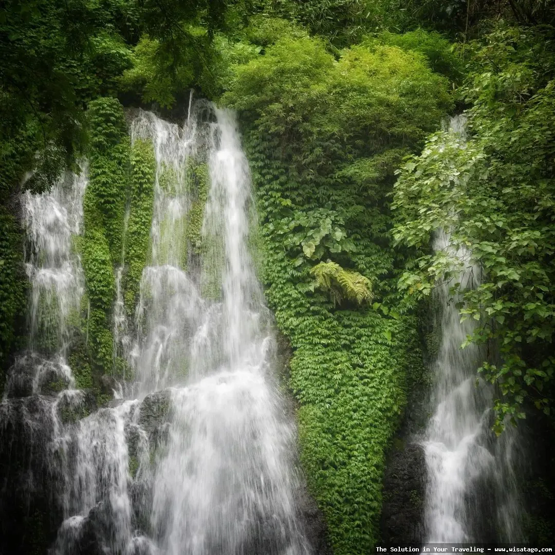 Air Terjun Jagir pesona alami Banyuwangi