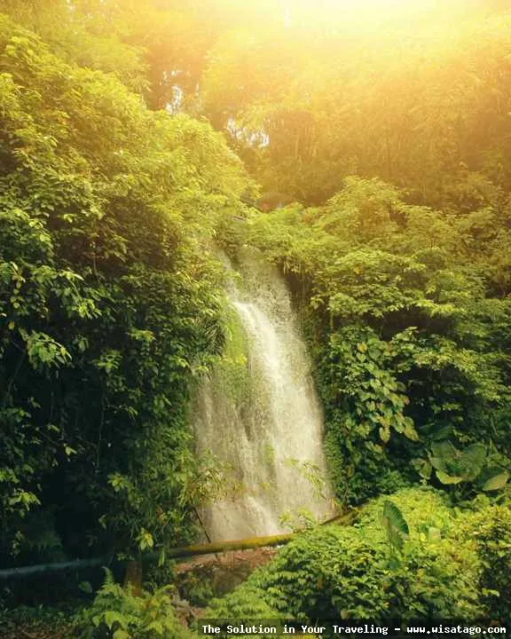 Air Terjun Jagir: keindahan alami Banyuwangi