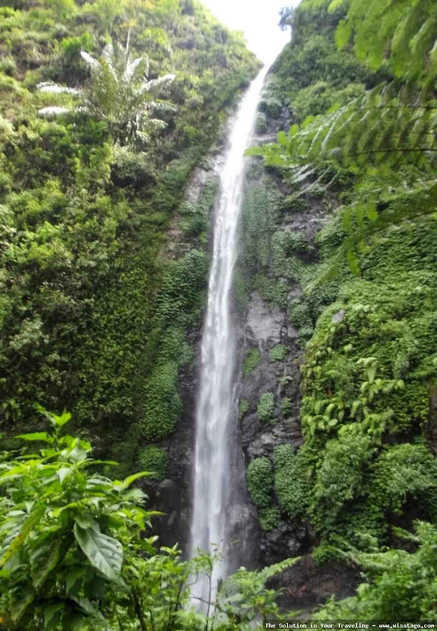 Air Terjun Tancak: keindahan alami Bondowoso