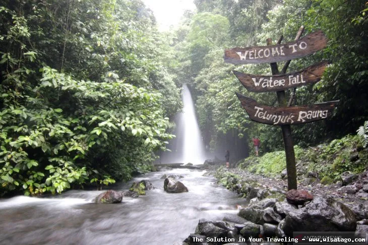 Air Terjun Telunjuk Dewa Raung memukau