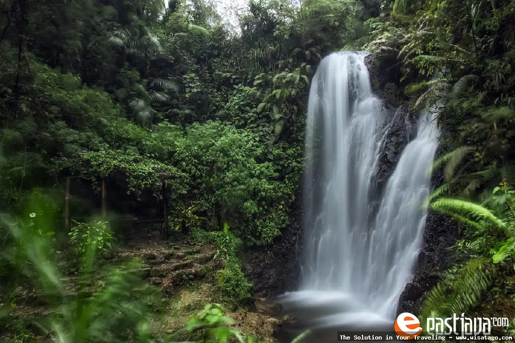 Air Terjun Tirtasari, keindahan alami Bali