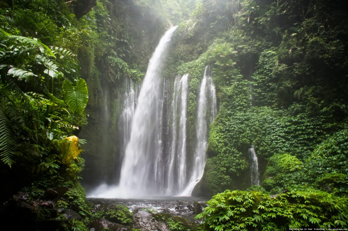 Air Terjun Tiu Kelep: Tips, Harga Tiket, Kuliner, Lokasi, Fasilitas dan Spot Air Terjun Tiu Kelep: Tips, Harga Tiket, Kuliner, Lokasi, Fasilitas dan Spot