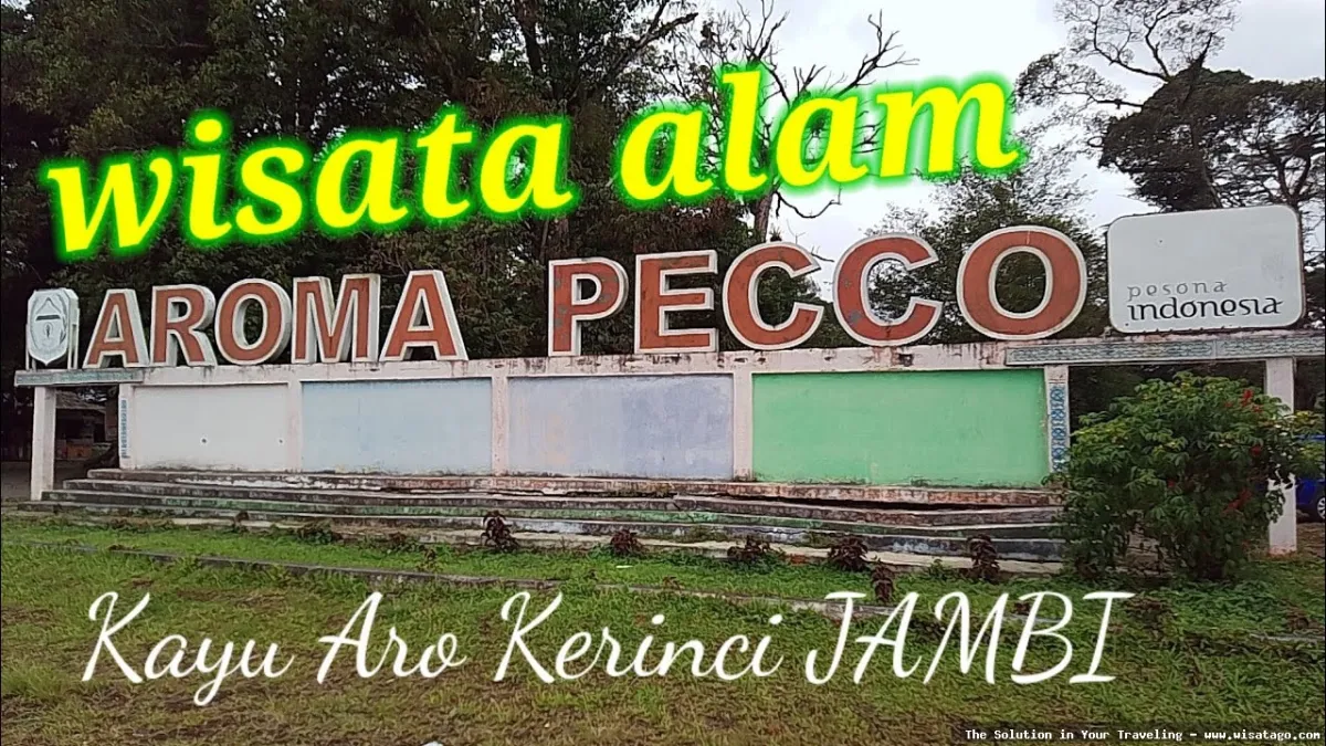 Aroma Pecco: keharuman teh yang memikat