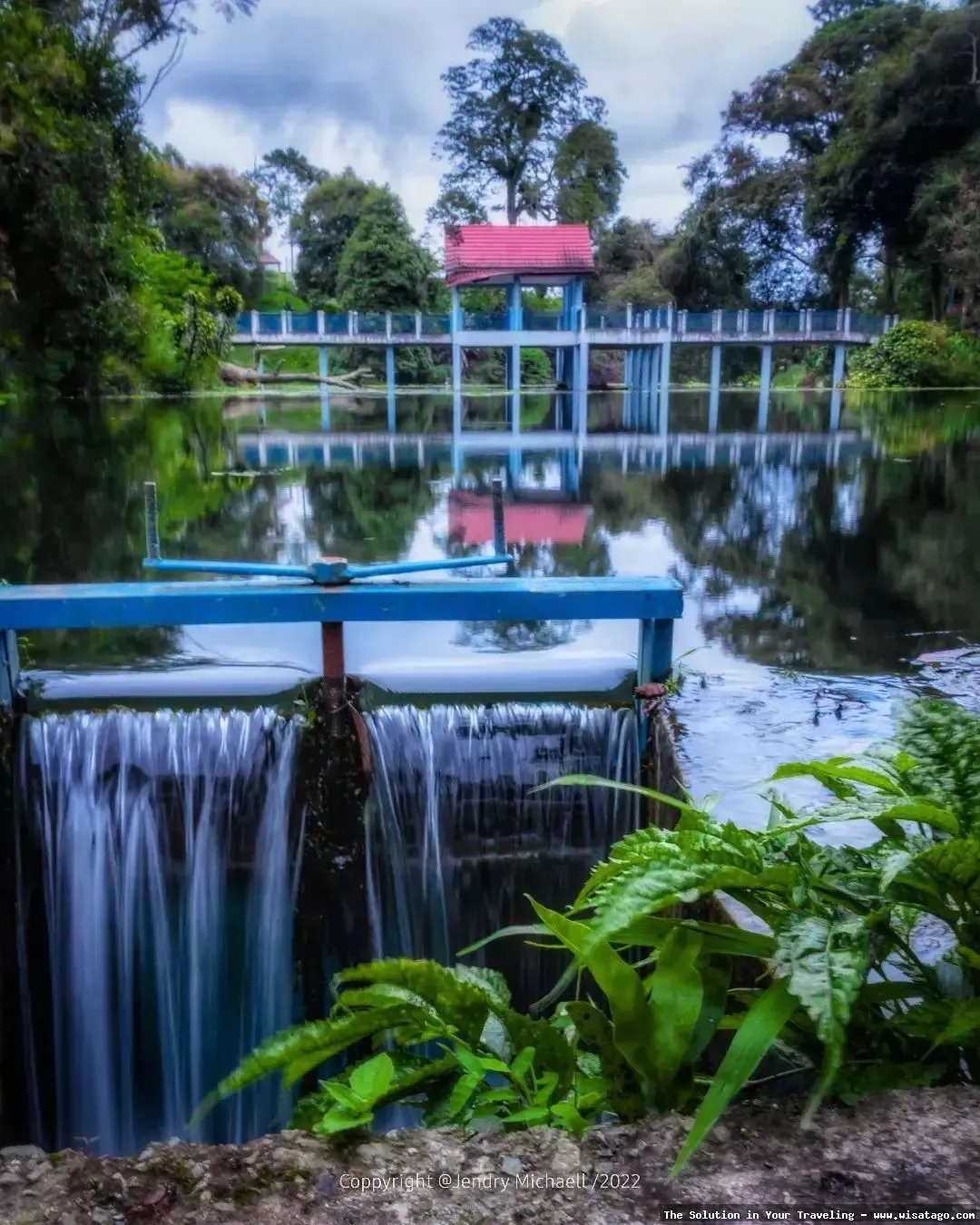 Aroma Pecco: keharuman teh yang khas