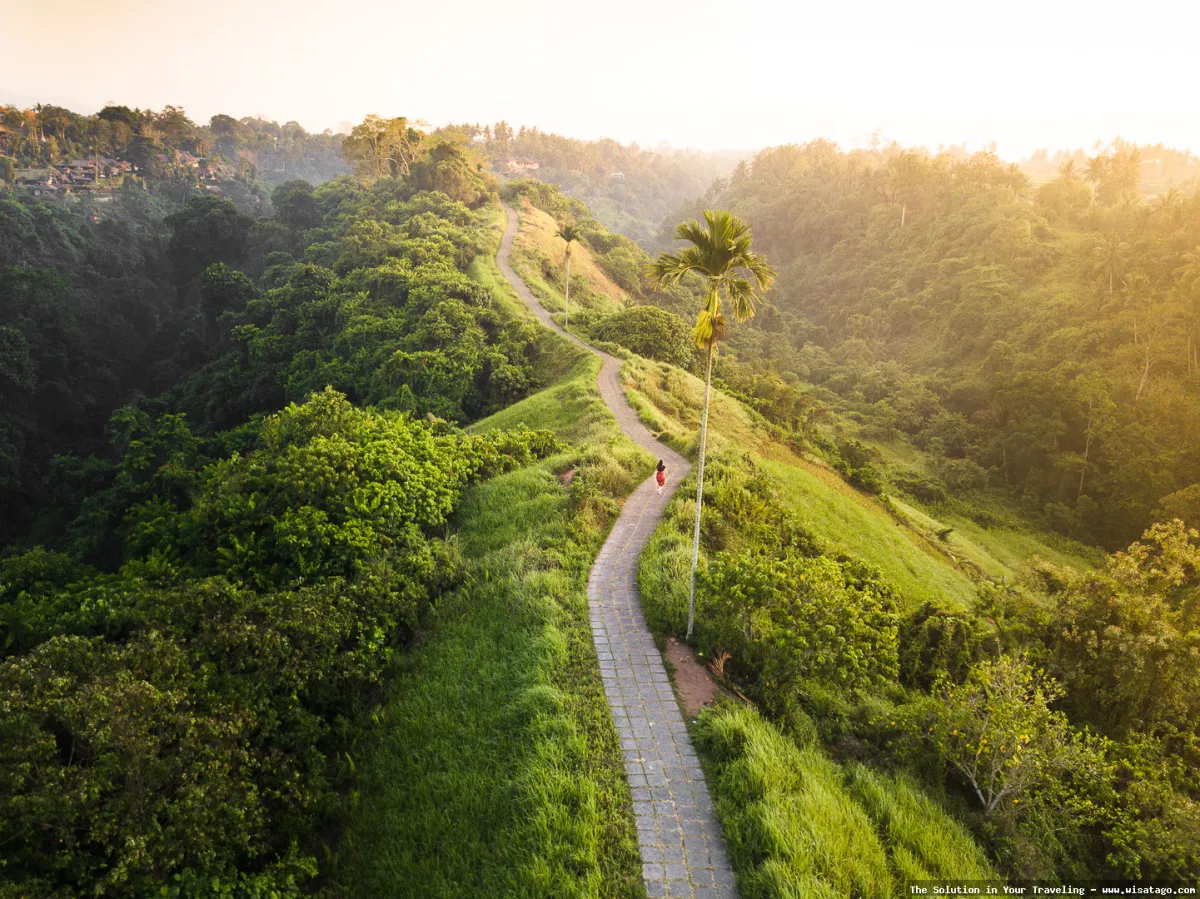 Bukit Campuhan: pemandangan alam Ubud