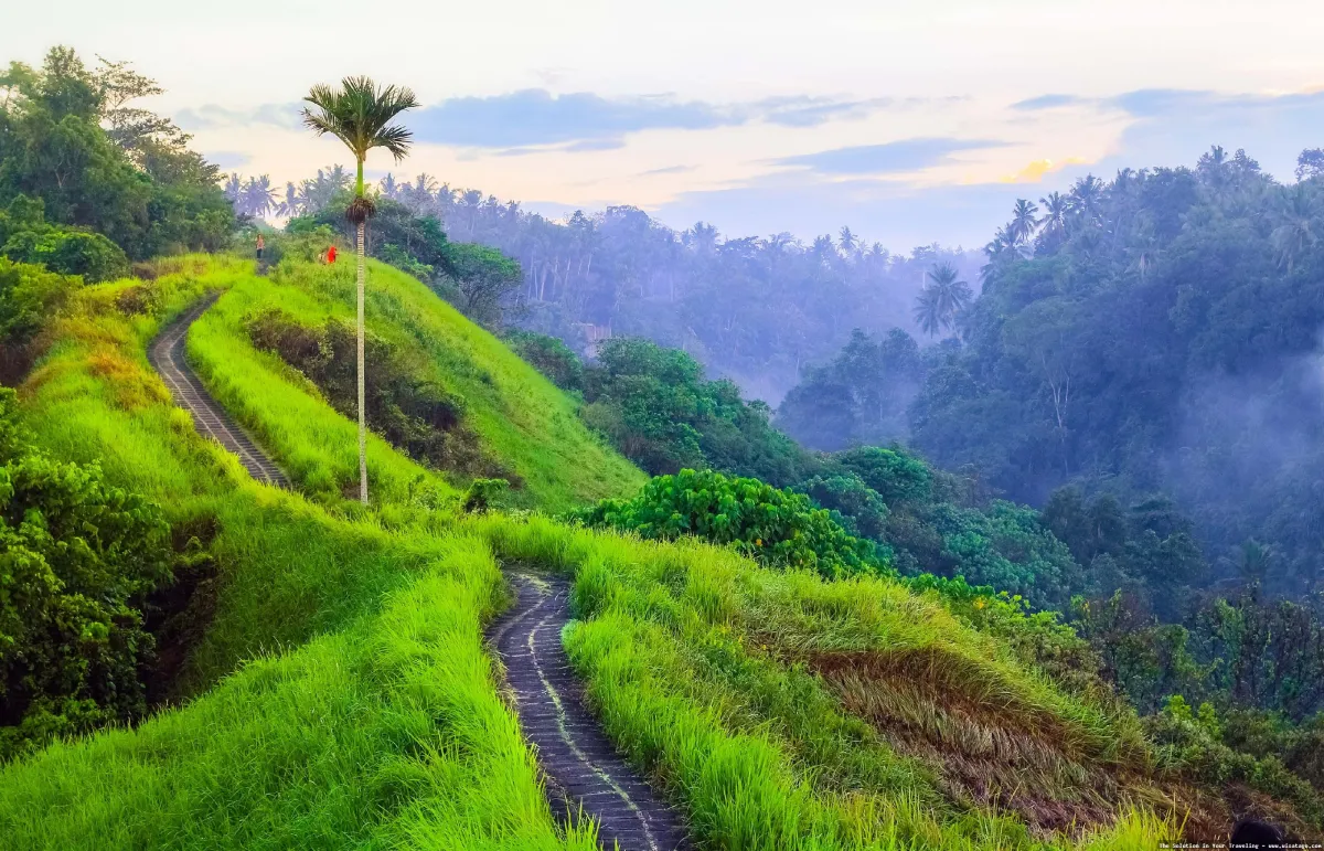 Bukit Campuhan: pemandangan alam Ubud