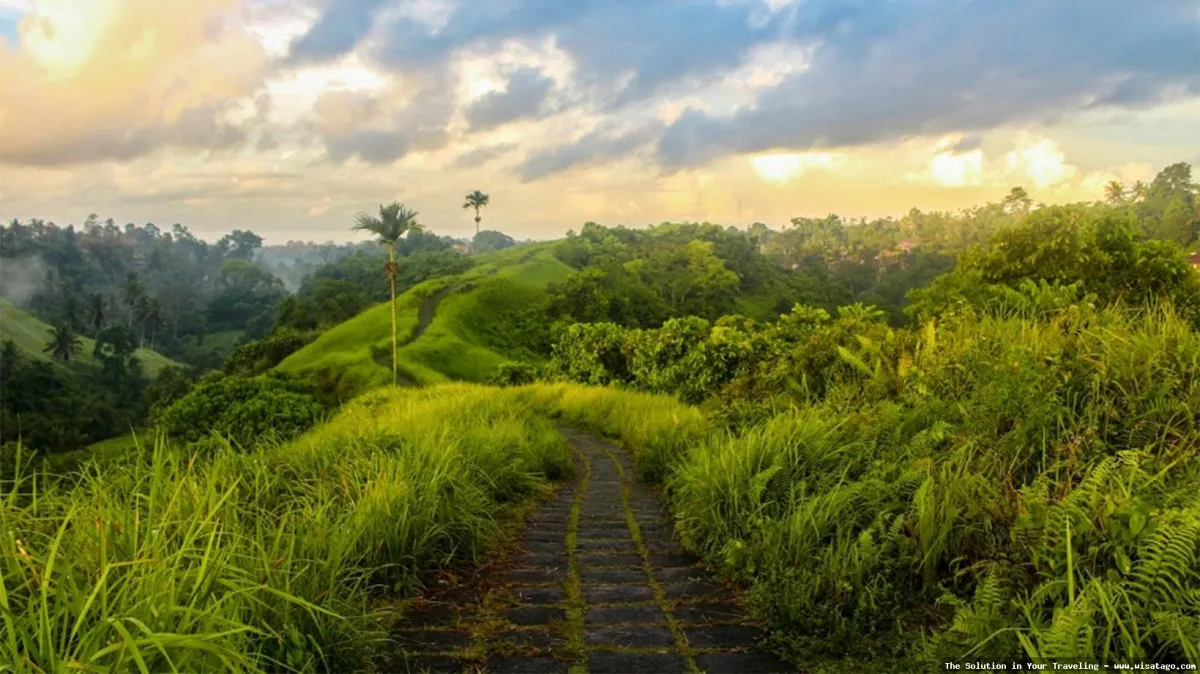 Bukit Campuhan, pemandangan alam Ubud