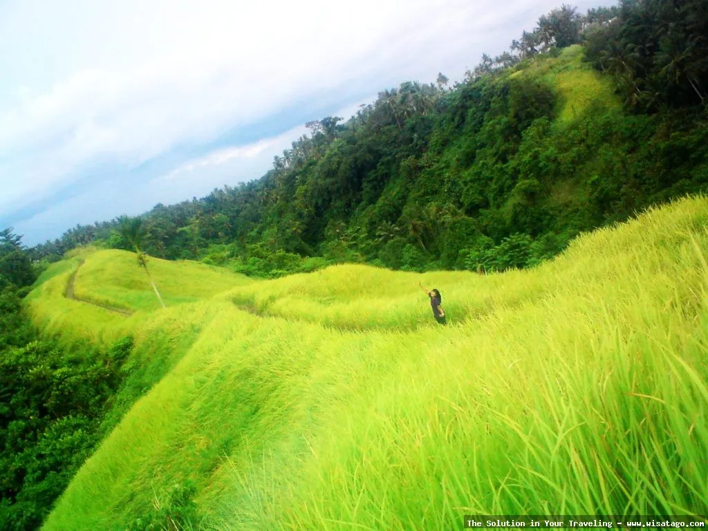 Bukit Campuhan: pemandangan alam Ubud