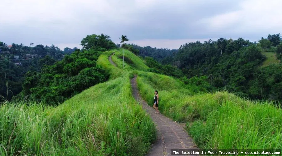 Bukit Campuhan, pemandangan alam Ubud