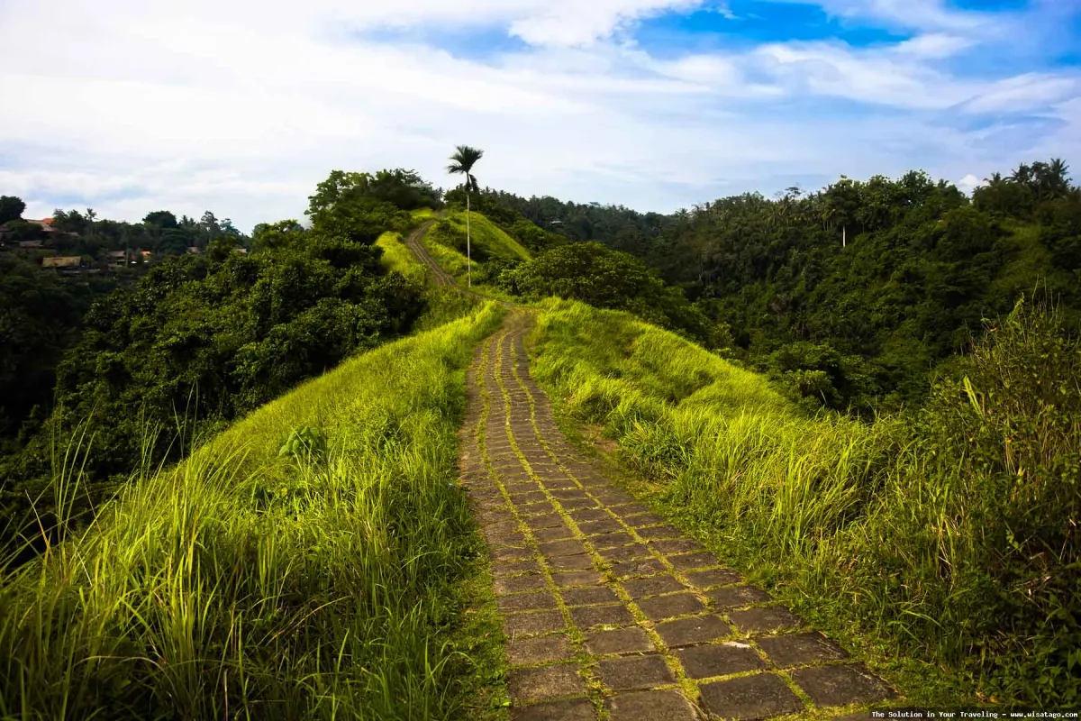 Bukit Campuhan: pemandangan alam Ubud