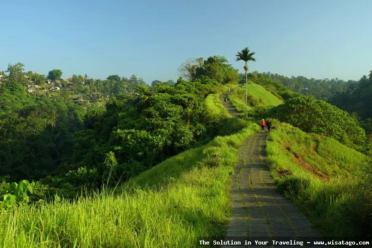 Bukit Campuhan, pemandangan alam Ubud