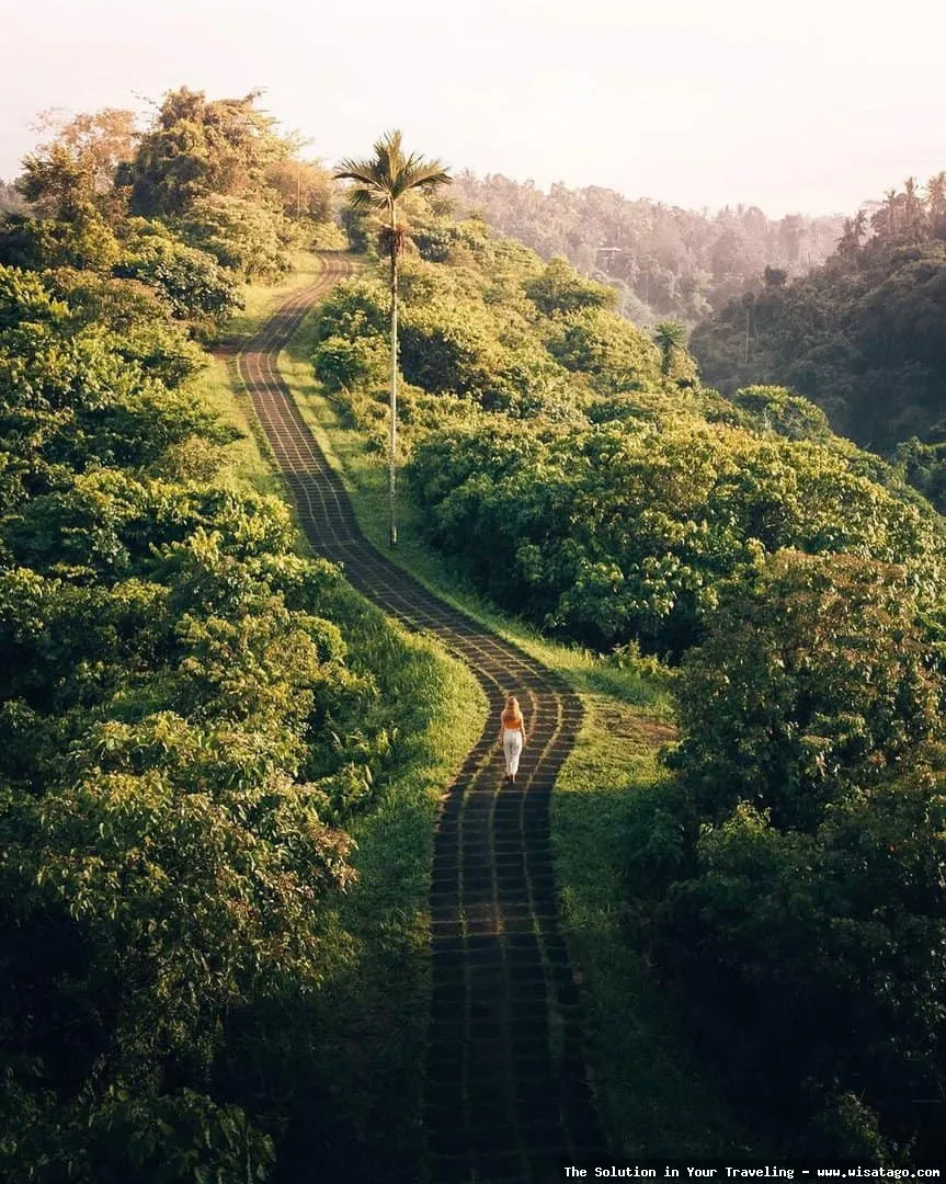 Bukit Campuhan: pemandangan alam Ubud