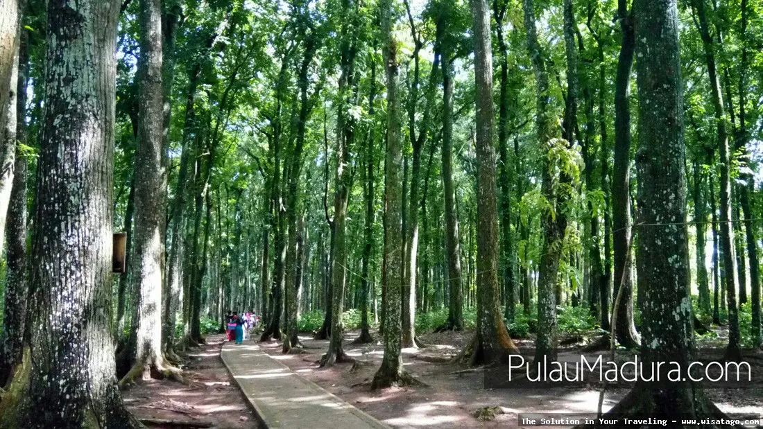 Bukit Geger: pemandangan alam memukau