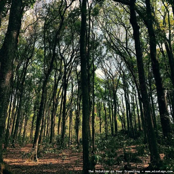 Bukit Geger, pemandangan indah memukau