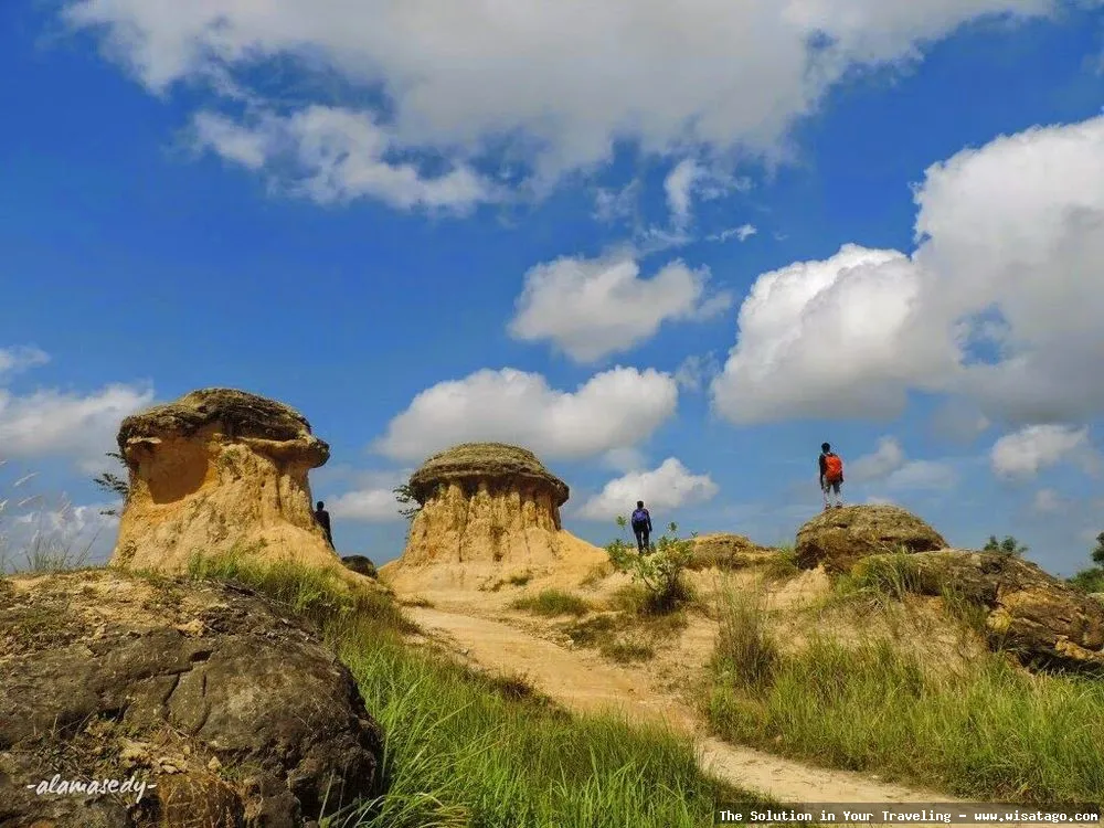 Bukit Jamur Gresik, formasi batuan unik