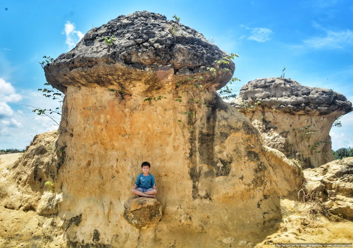 Bukit Jamur Gresik, formasi batuan unik