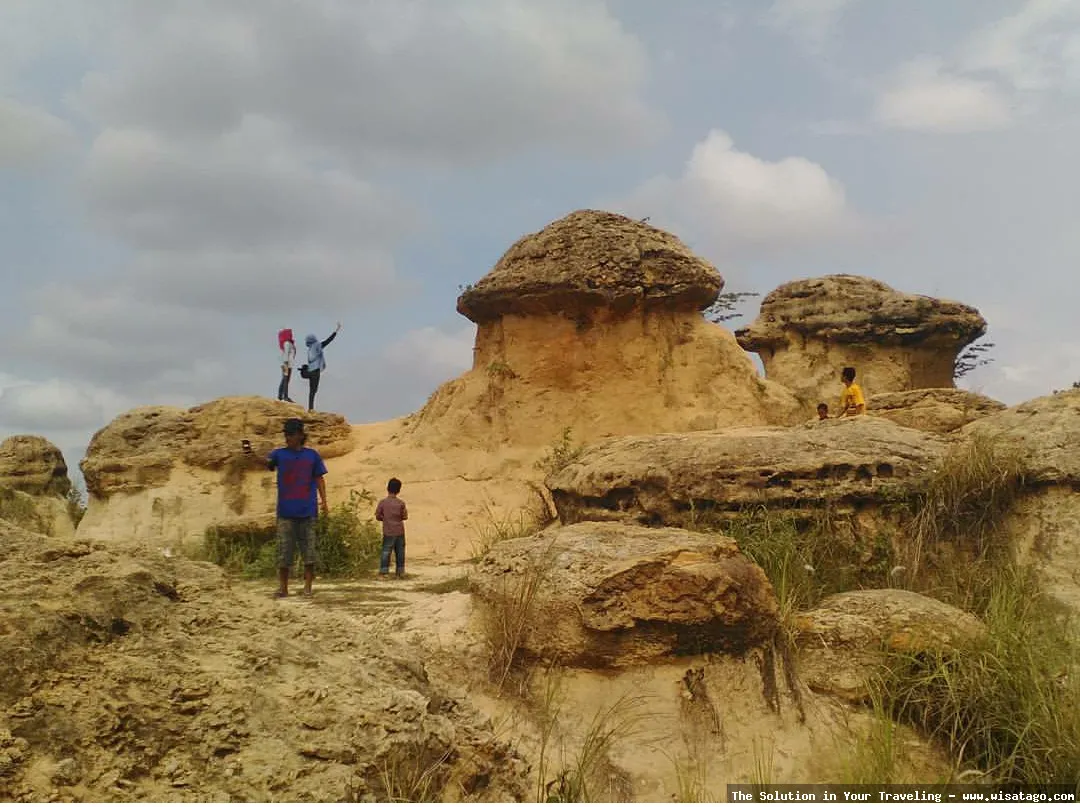 Bukit Jamur Gresik, formasi batuan unik