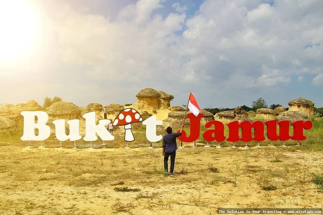 Bukit Jamur Gresik, formasi batuan unik.