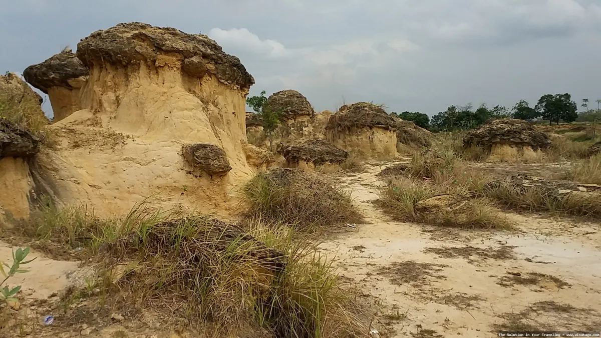 Bukit Jamur Gresik, formasi batuan unik