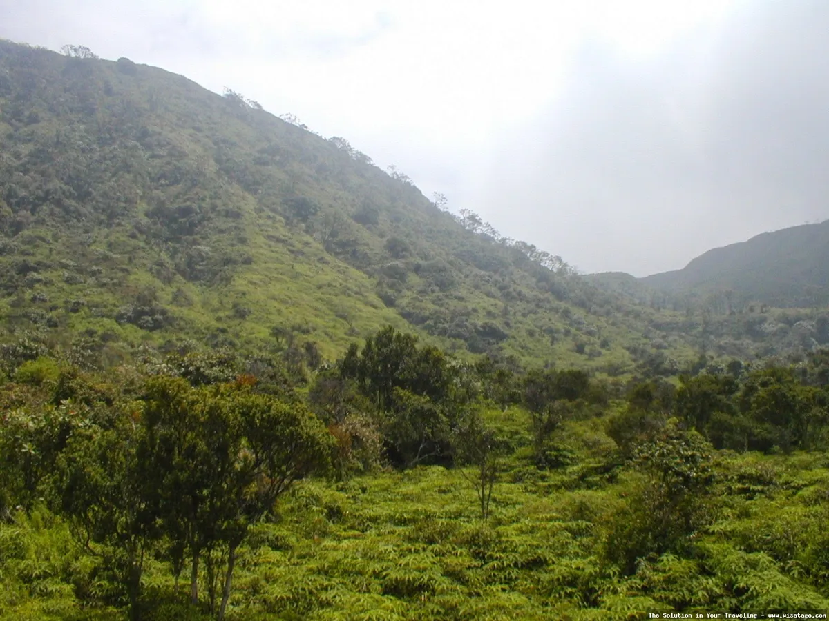 Bukit Kaba: pesona kawah vulkanik