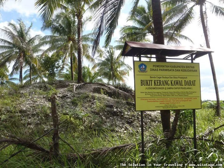 Bukit Kerang, tumpukan kulit kerang purba.