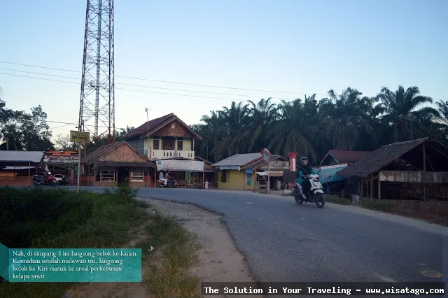 Bukit Kerang, tumpukan cangkang purba.