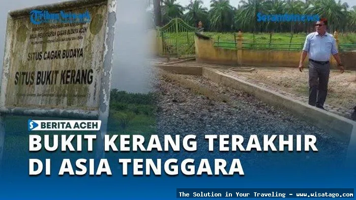 Bukit Kerang, tumpukan kerang purba