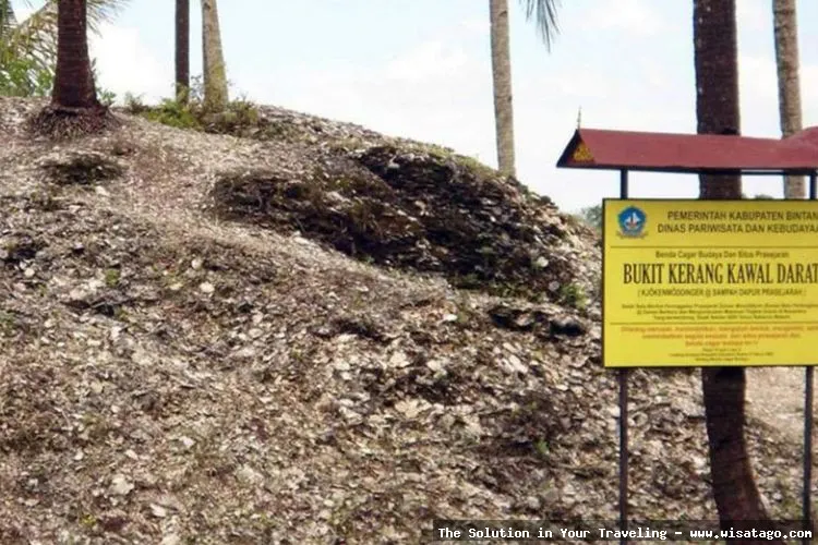 Bukit Kerang, tumpukan cangkang purba