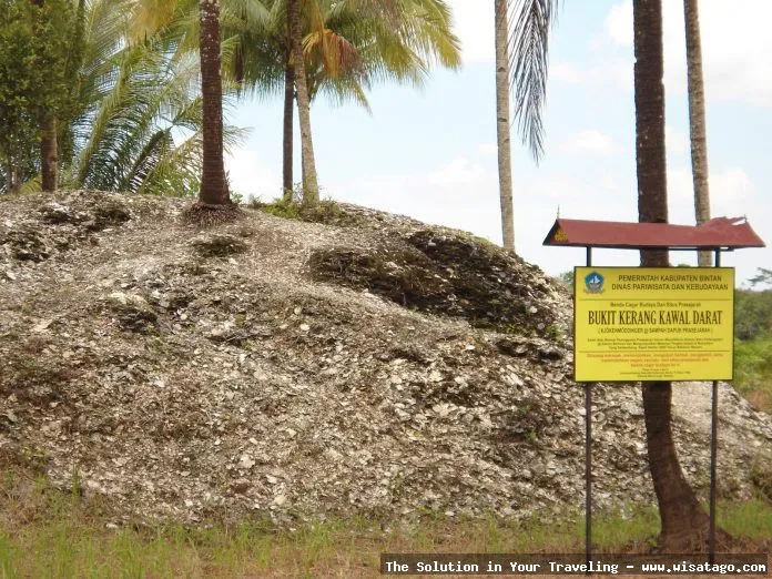 Bukit Kerang, bukti sejarah prasejarah