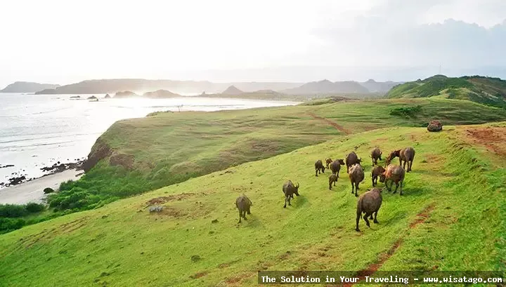 Bukit Merese, lanskap pantai yang indah
