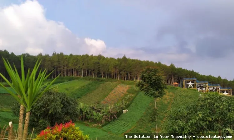 Bukit Moko: pemandangan kota Bandung