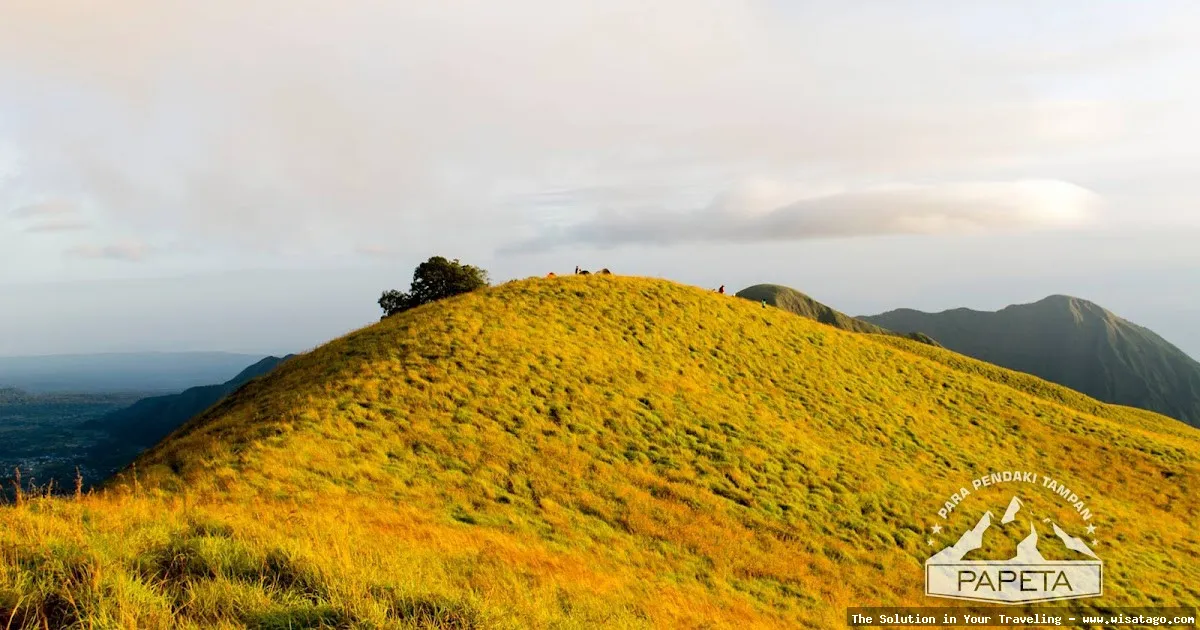 Bukit Nanggi Sembalun, pemandangan indah memukau