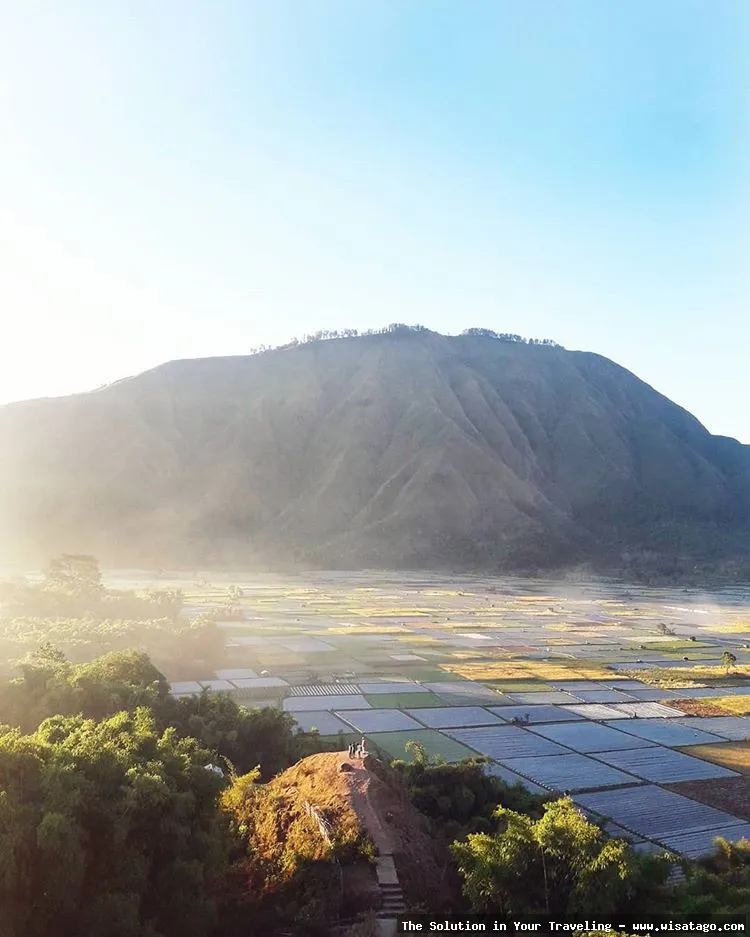 Bukit Nanggi Sembalun, lanskap pendakian indah