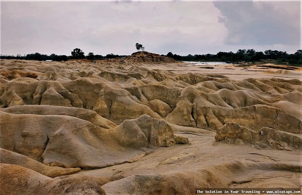 Bukit Pasir Bintan: Tips, Harga Tiket, Kuliner, Lokasi, Fasilitas dan Spot Bukit Pasir Bintan: Tips, Harga Tiket, Kuliner, Lokasi, Fasilitas dan Spot