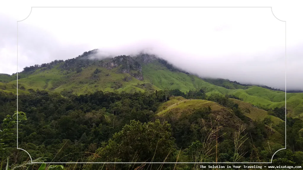 Cagar Alam Jantho, hutan konservasi Aceh
