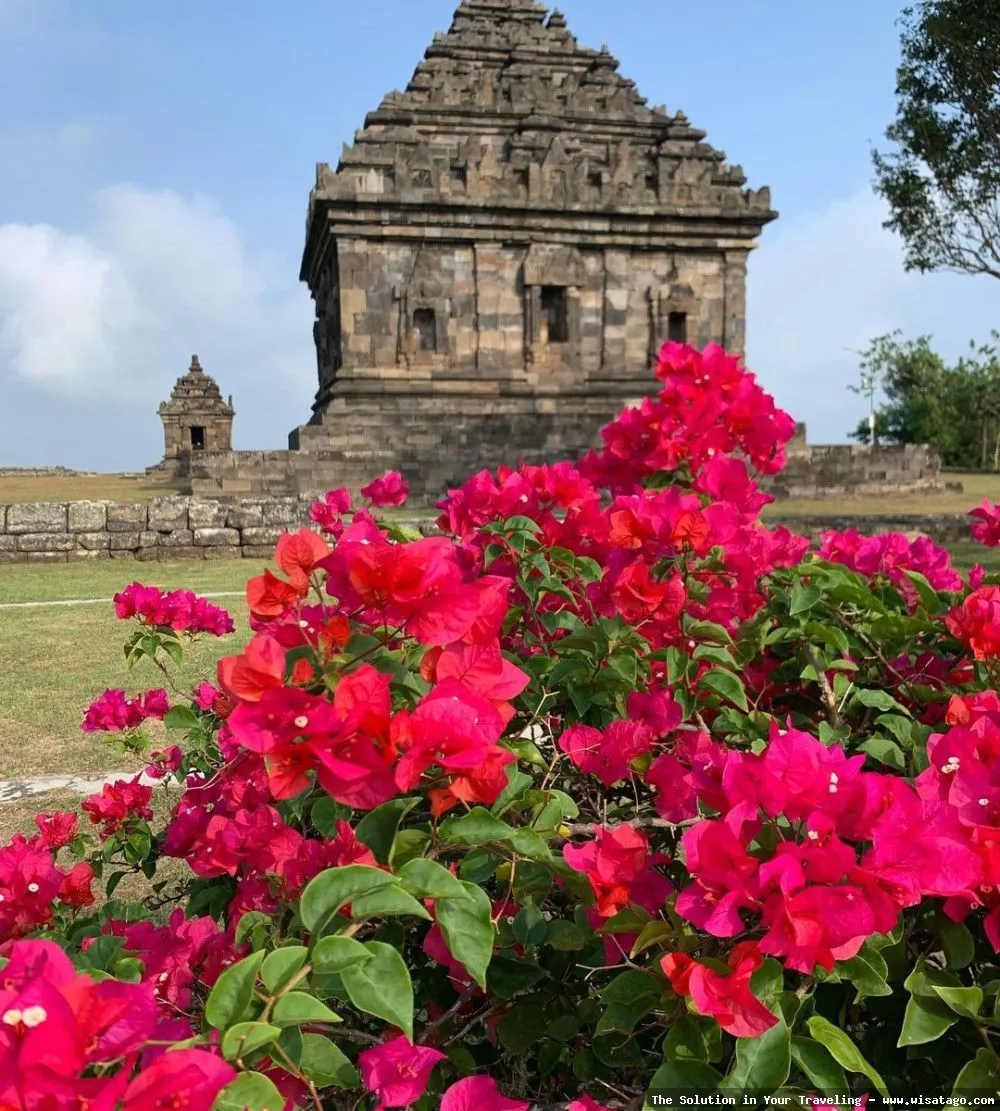 Candi Ijo, kompleks candi tertinggi