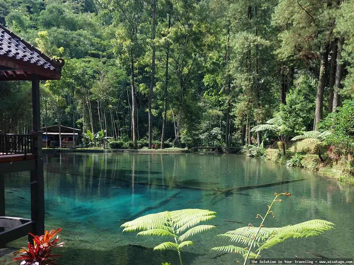 Candi Rambut Monte: pesona arsitektur kuno