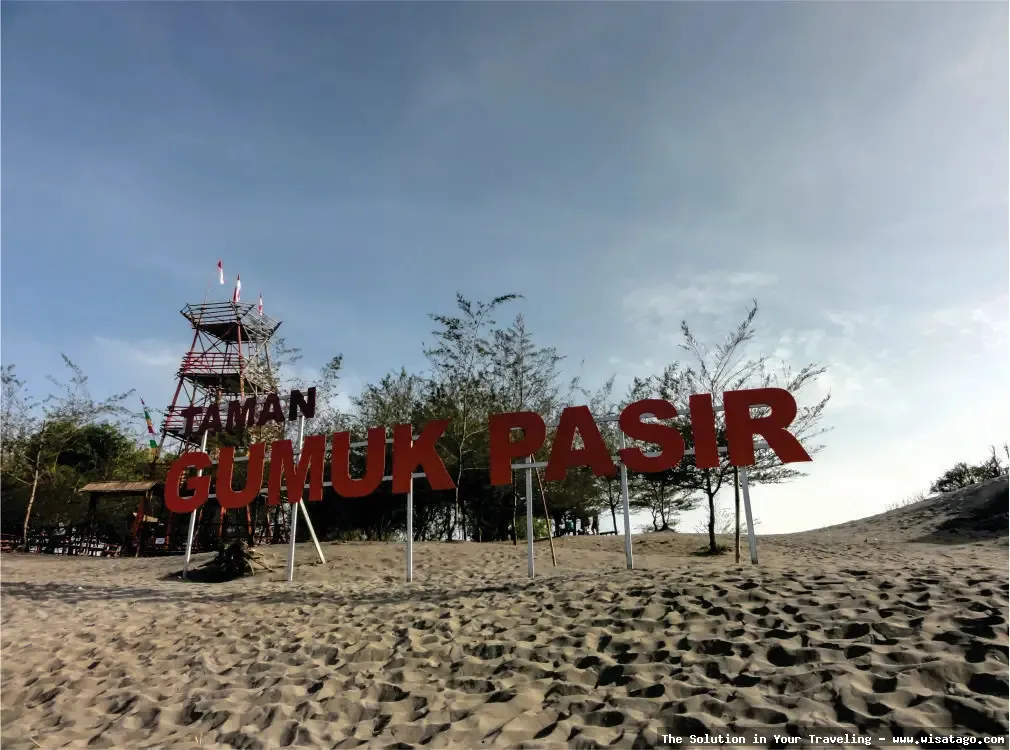 Cemoro Sewu, hutan pinus yang mempesona