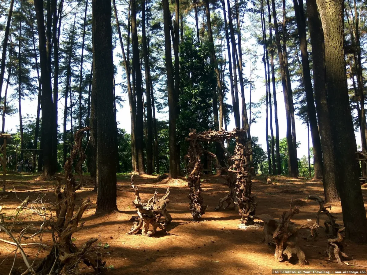 Cemoro Sewu, keindahan jalur pendakian.