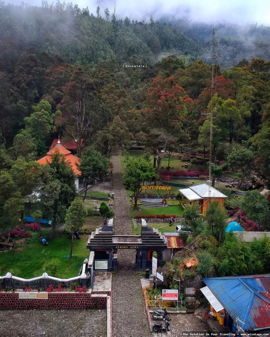 Cemoro Sewu, hutan pinus nan indah
