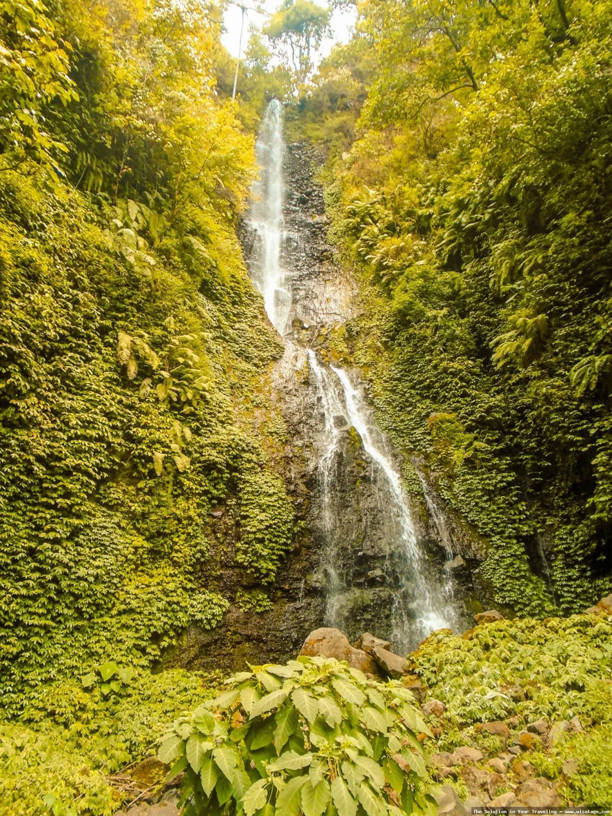 Coban Parang Tejo, air terjun indah